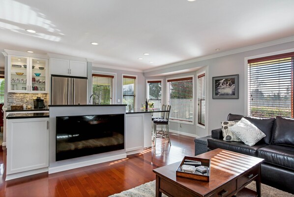 Smart TV, fireplace, books