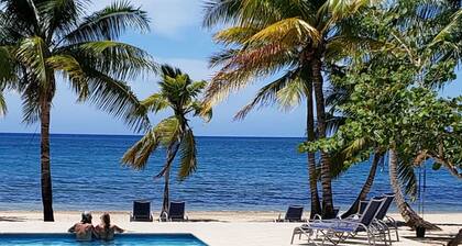 Elegant Custom Beachfront Villa With Floor To Ceiling Glass Walls, 180 Sea-View