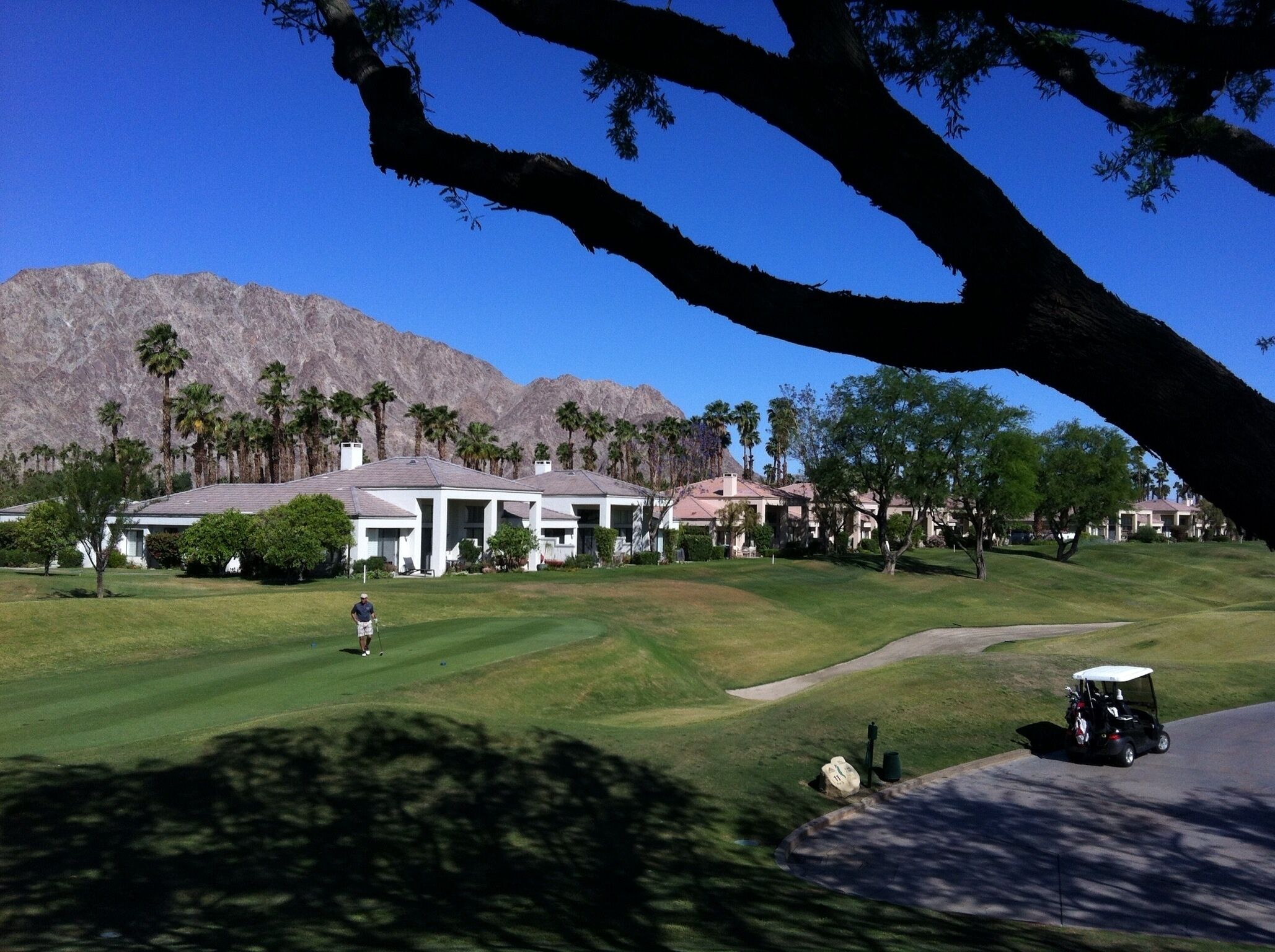 Ein Golfplatz mit Clubhaus, Palmen und Bergen im Hintergrund.