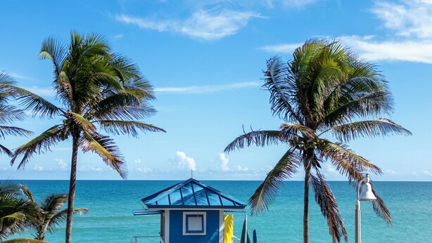 Ein Rettungsschwimmturm an einem Strand mit Palmen und blauem Himmel.