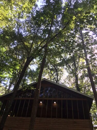 The Tree House Cabin