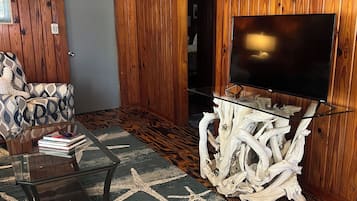 电视、DVD 播放器