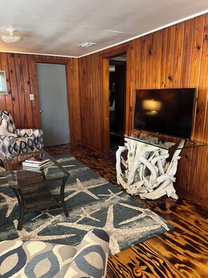TV, DVD player - The Bonaire Cottage~ Private Dock!!! ~ Rustic Fun Waterfront Cottage!!!  (Cedar Key)