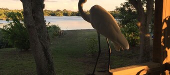The Bonaire Cottage~ Private Dock!!! ~ Rustic Fun Waterfront Cottage!!!