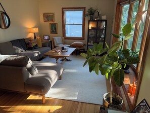 A living room with a sofa, coffee table, and a potted plant.