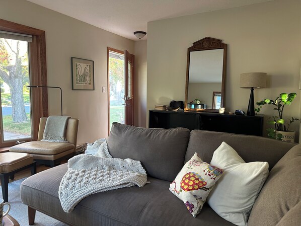 Smart TV, chimenea, reproductor de DVD y libros 