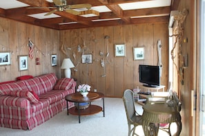 Smart TV, DVD player, books, music library