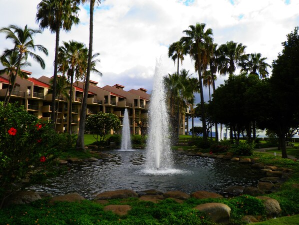 Property grounds - 2 Bed, 2 bath ocean view, A/c Kamaole Sands A graded condo (Kihei)