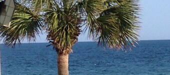 Stylish modern beach view unit, w/ Bch & Pool, dog friendly!