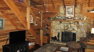 Fernseher, Kamin, DVD-Player, Bücher