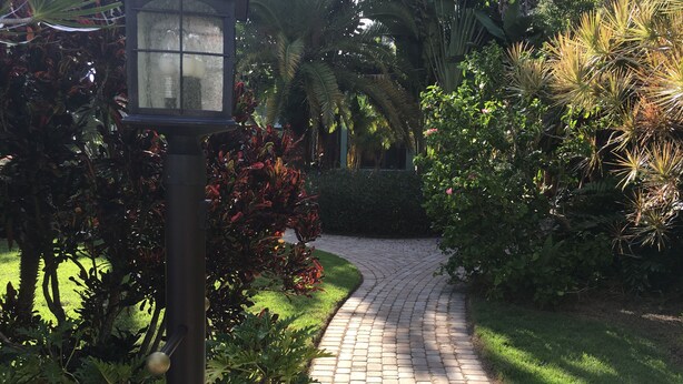 A paved garden path with a street lamp and lush greenery.