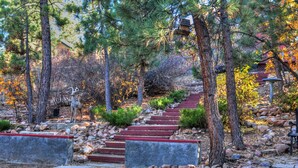 Una escalera de piedra rodeada de árboles y rocas, que asciende una colina.