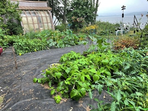 住宿场地