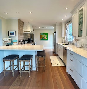 A modern kitchen with a large island, bar stools, a painting, and a view of the outdoors. - Oceanfront Home with Spectacular Views (Salt Spring Island)