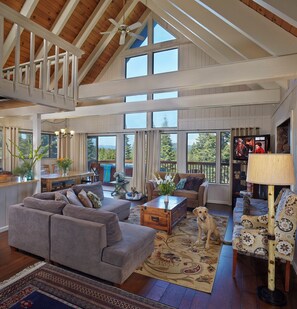 Smart TV, fireplace, DVD player, books