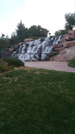 Overnattingsstedets uteområder