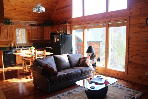 Televisión, chimenea, videojuegos y reproductor de DVD 