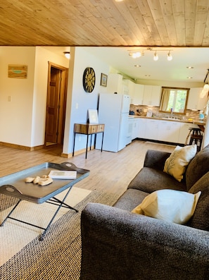 Smart TV, reproductor de DVD, libros y estéreo 