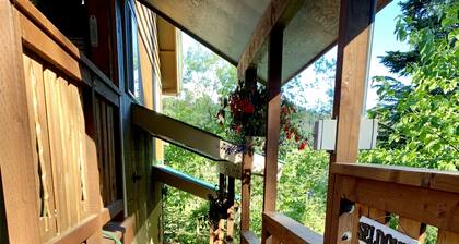 Seldovia House - Lost Lake