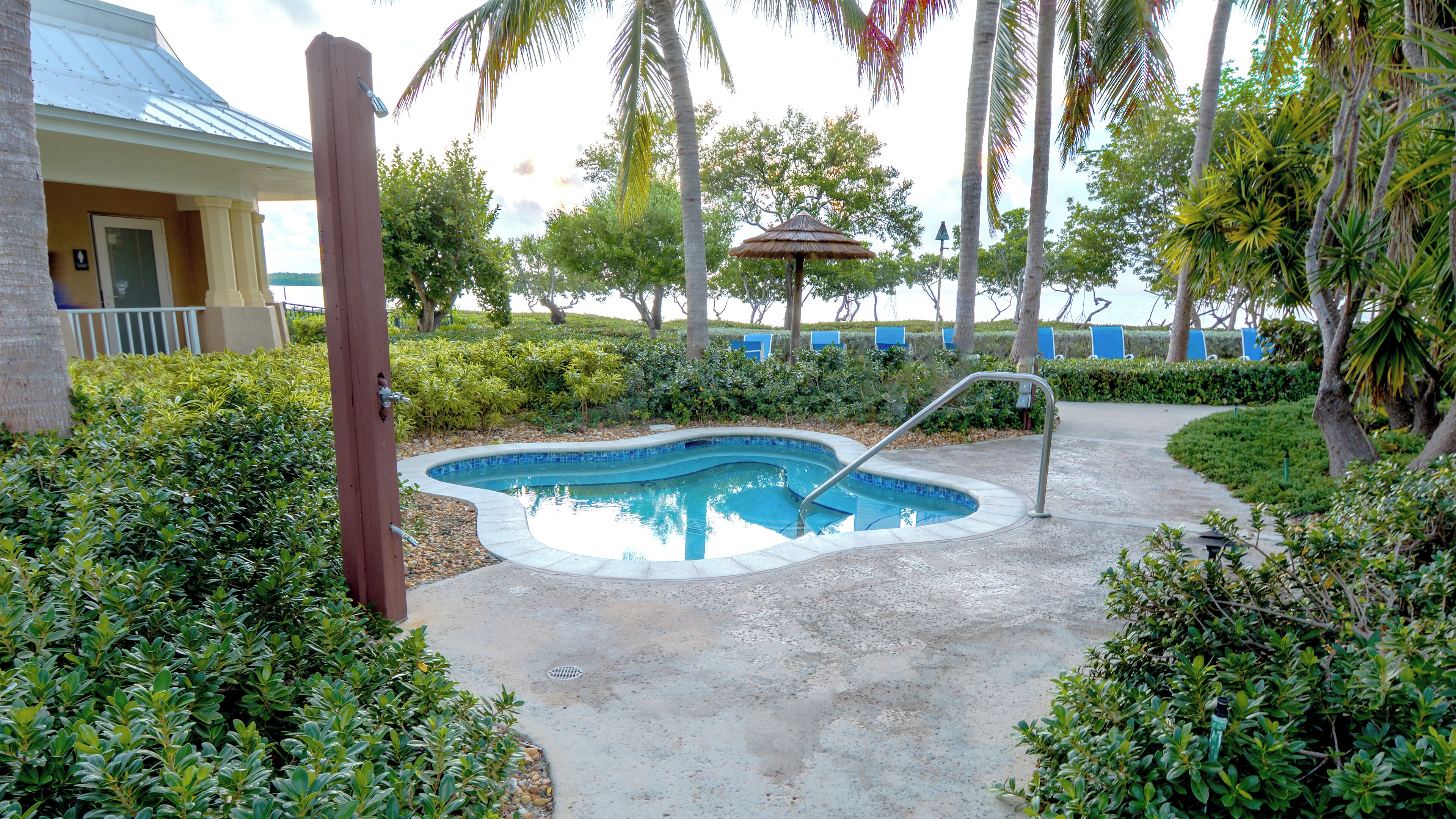 A swimming pool surrounded by lush greenery and palm trees.