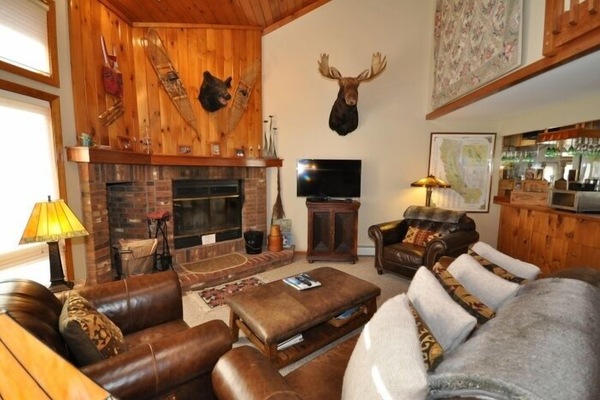 Televisión, chimenea y reproductor de DVD