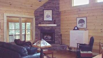 Fernseher, Kamin, DVD-Player, BĂŒcher