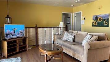 Smart-tv, pejs, bøger