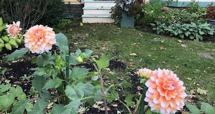 In the Heart of Maine, Nestled in Camden Village