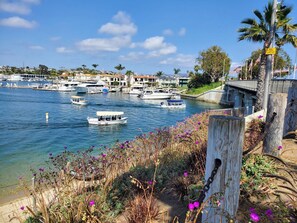 Enjoy a serene waterfront view surrounded by lush greenery and vibrant flowers.