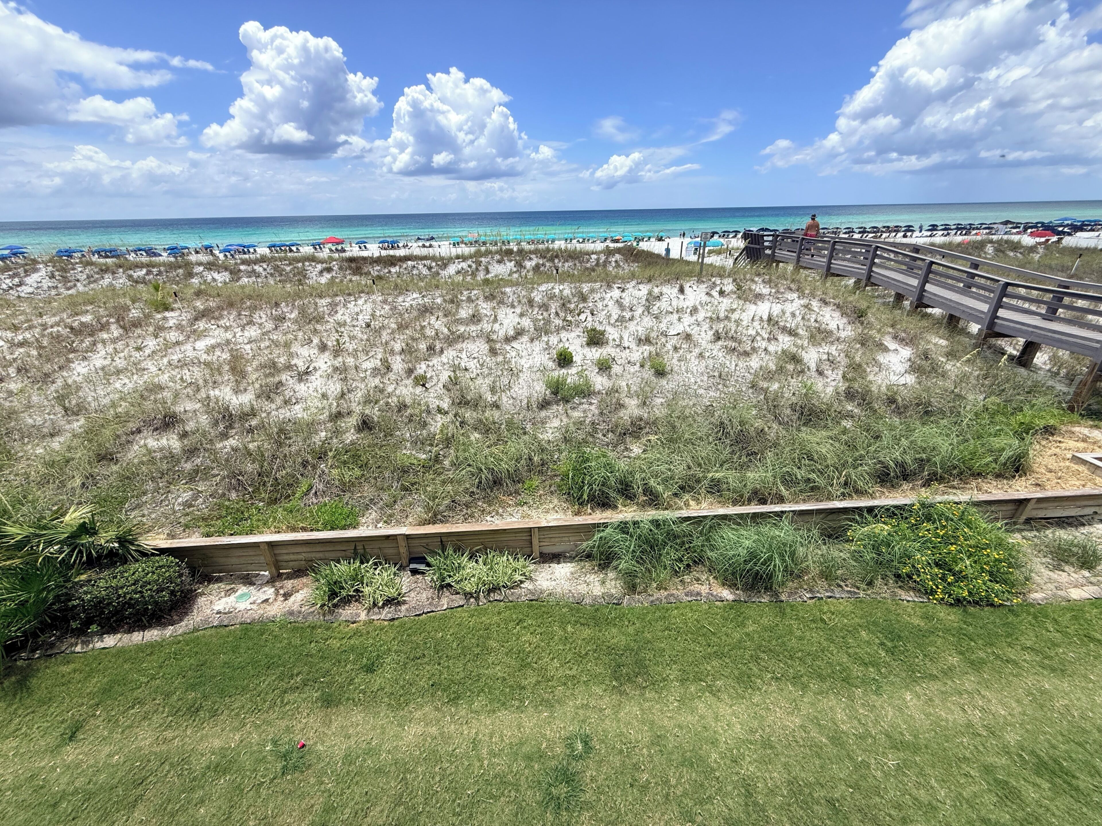 A beach with a wooden fence, grassy areas, and a clear view of the ocean.