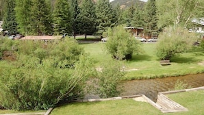 A grassy area with a small stream, surrounded by dense trees and a few buildings in the background.