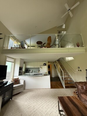 Flat-screen TV, fireplace, books, streaming services