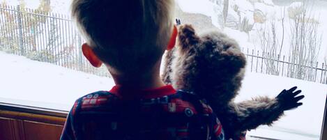 A child holding a stuffed animal, looking out a window at a snowy landscape.