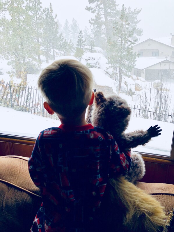 Niño sosteniendo un peluche, mirando un paisaje nevado desde la ventana.