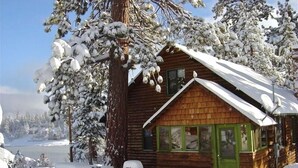 A wooden cabin with a green door, surrounded by snow-covered trees and a clear sky. - First-Tier Lakefront Log Charmer! Lakeview Spa In Gazebo,Fireplace,Deck,Sledding (Big Bear Lake)
