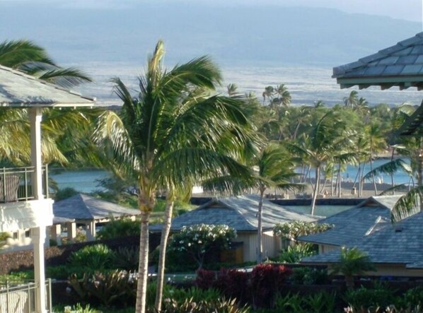 A resort with multiple buildings, palm trees, and a view of the ocean.