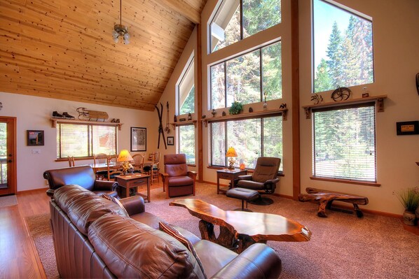 Televisión, chimenea, reproductor de DVD