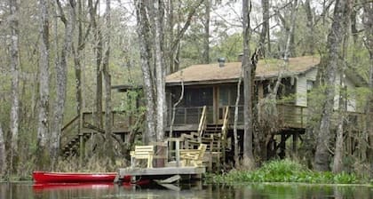 Rilassati su un bellissimo fiume in un ambiente naturale della Florida