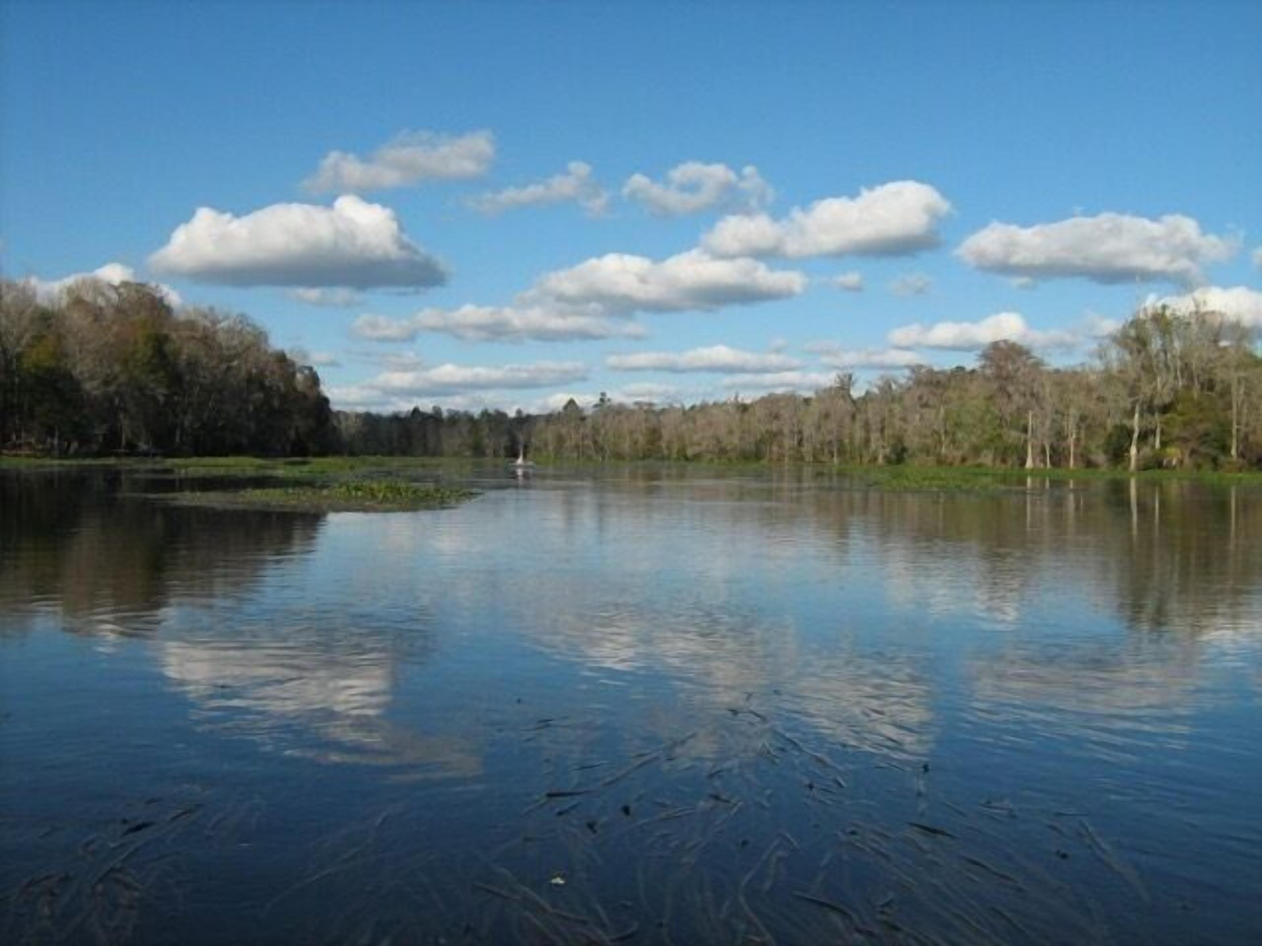 Un lago tranquilo con un reflejo claro del cielo y los árboles.