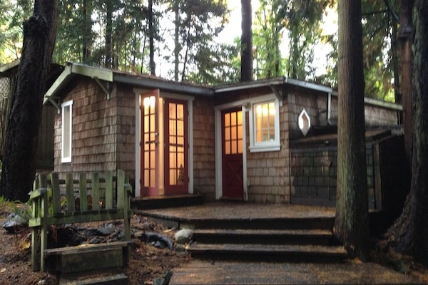 your private cottage in the woods!