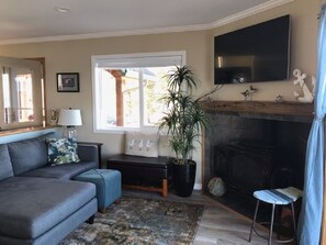 Fernseher, Kamin, DVD-Player, Bücher