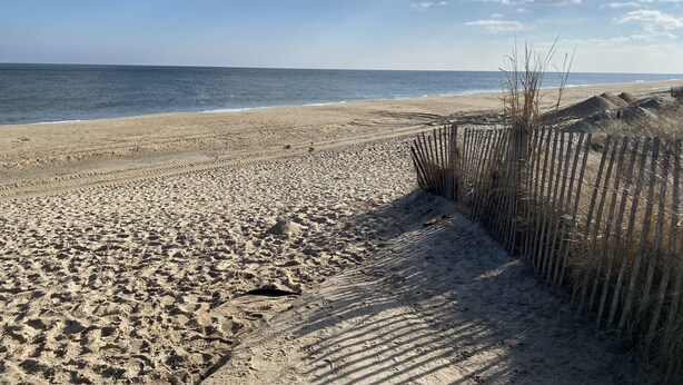 Una spiaggia sabbiosa con una recinzione in legno e vegetazione rada.