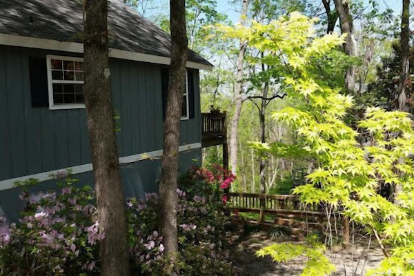 Azalea Season on the mountain