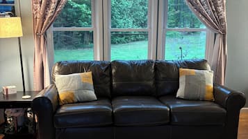 Una Smart TV, un reproductor de DVD, libros, una videoteca