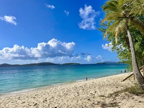 Sun-loungers, beach towels