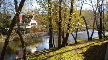 Une vue sur la rivière, avec des arbres et une maison en arrière-plan.
