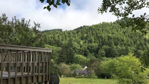 Una terraza de madera con una antena parabólica, un patio cubierto de césped y una casa al fondo rodeada de un bosque denso.