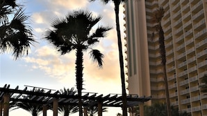 A hotel with a tall building, palm trees, and a covered outdoor area with plants. - Beach Front/Free Beach Chair Service & Wifi/ Reserved Parking/ Best Amenities (Panama City)