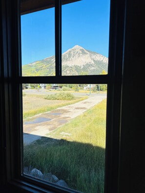 Interior - Luxury Chalet - Amazing Mtn Views • Steam Shower • 2 Blks to Elk • Dog Friendly (Crested Butte)