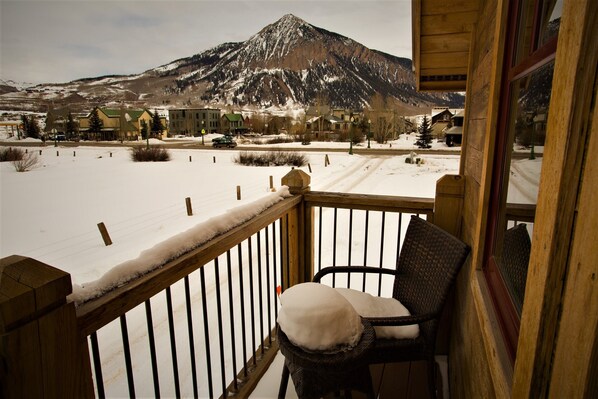 Property grounds - Luxury Chalet - Amazing Mtn Views • Steam Shower • 2 Blks to Elk • Dog Friendly (Crested Butte)